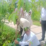 शहर के विस्तार के बीच प्राकृतिक जलस्रोतों को बचाने की पहल, मियांवाला में एमडीडीए ने पेश किया नया उदाहरण